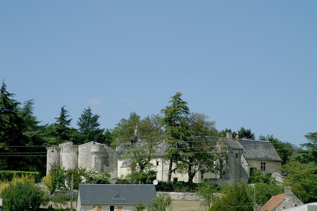 Chateau De La Roche Martel Bed & Breakfast Roiffe ภายนอก รูปภาพ